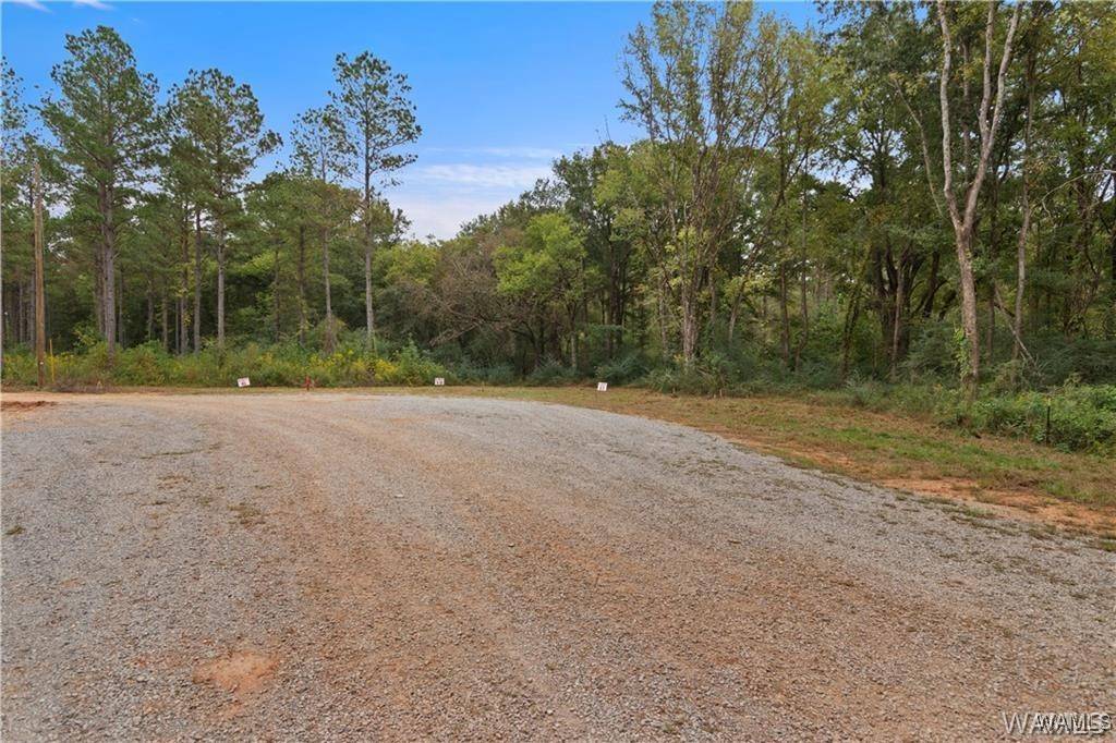 Moundville, AL 35474,11 County Road 21