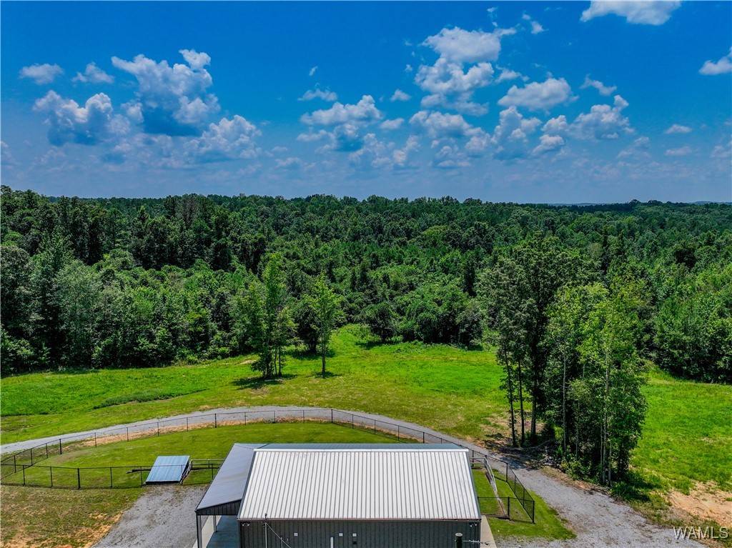 Bankston, AL 35542,3741 County Rd 67