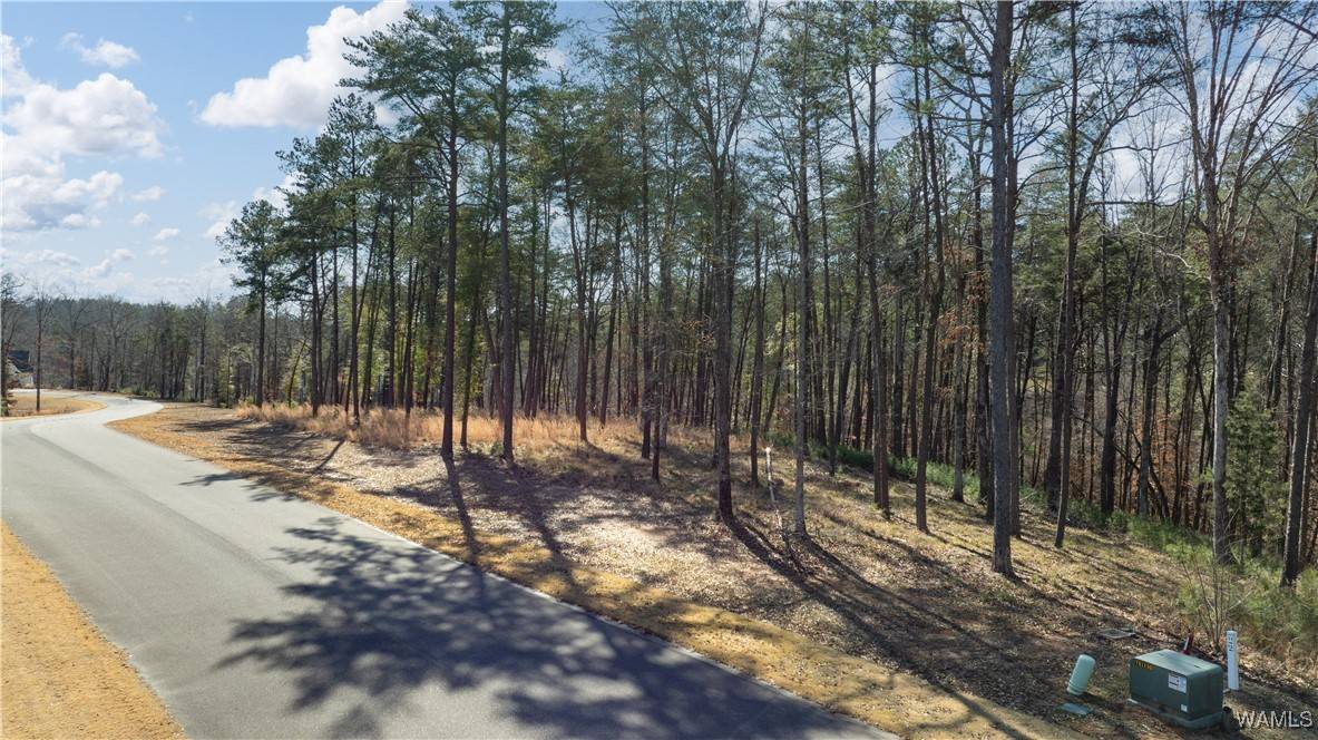 Northport, AL 35475,14180 Watercolor DR
