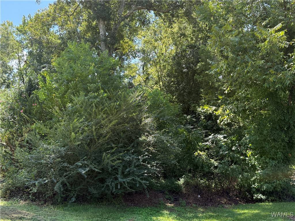 Tuscaloosa, AL 35404,000 HOOD ST