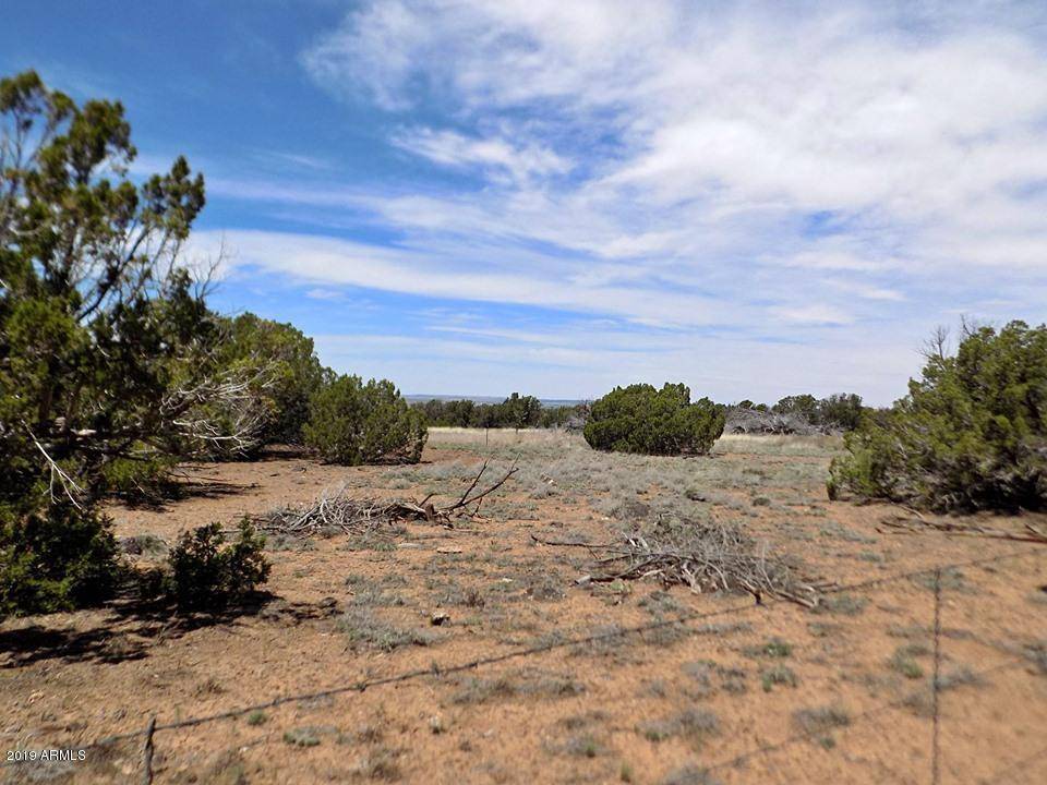 Show Low, AZ 85902,8276 Highplains Road #-