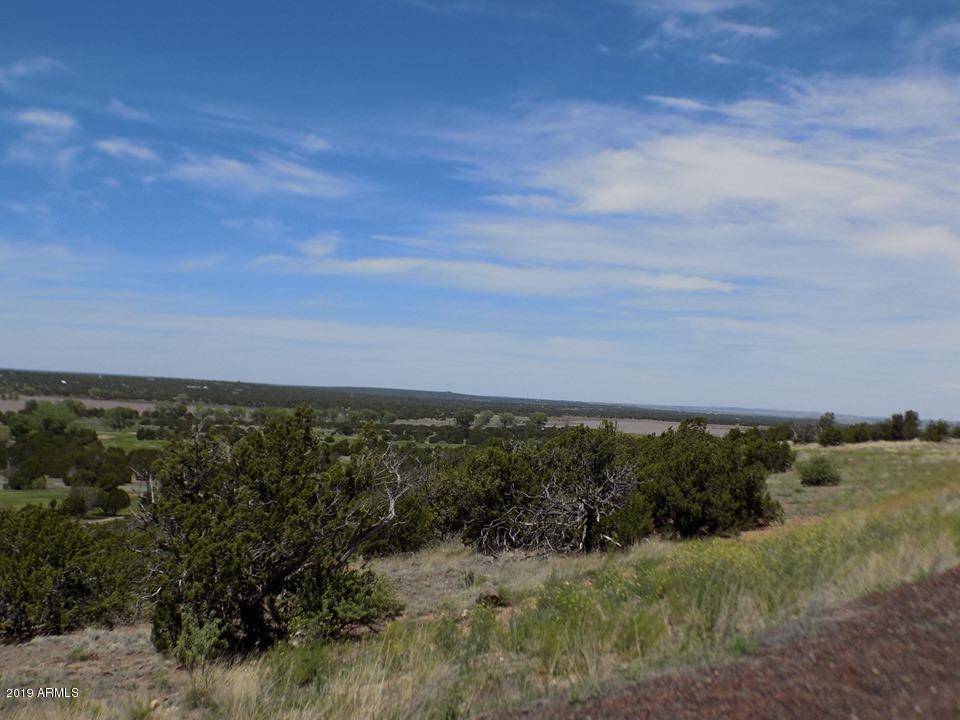 Show Low, AZ 85902,8276 Highplains Road #-