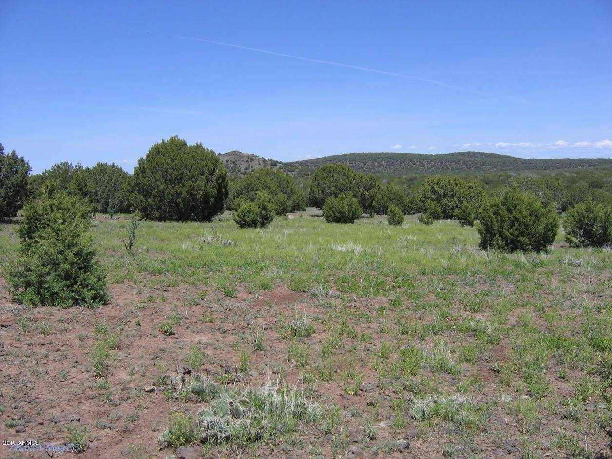 Williams, AZ 86046,0 N Quail Road #372