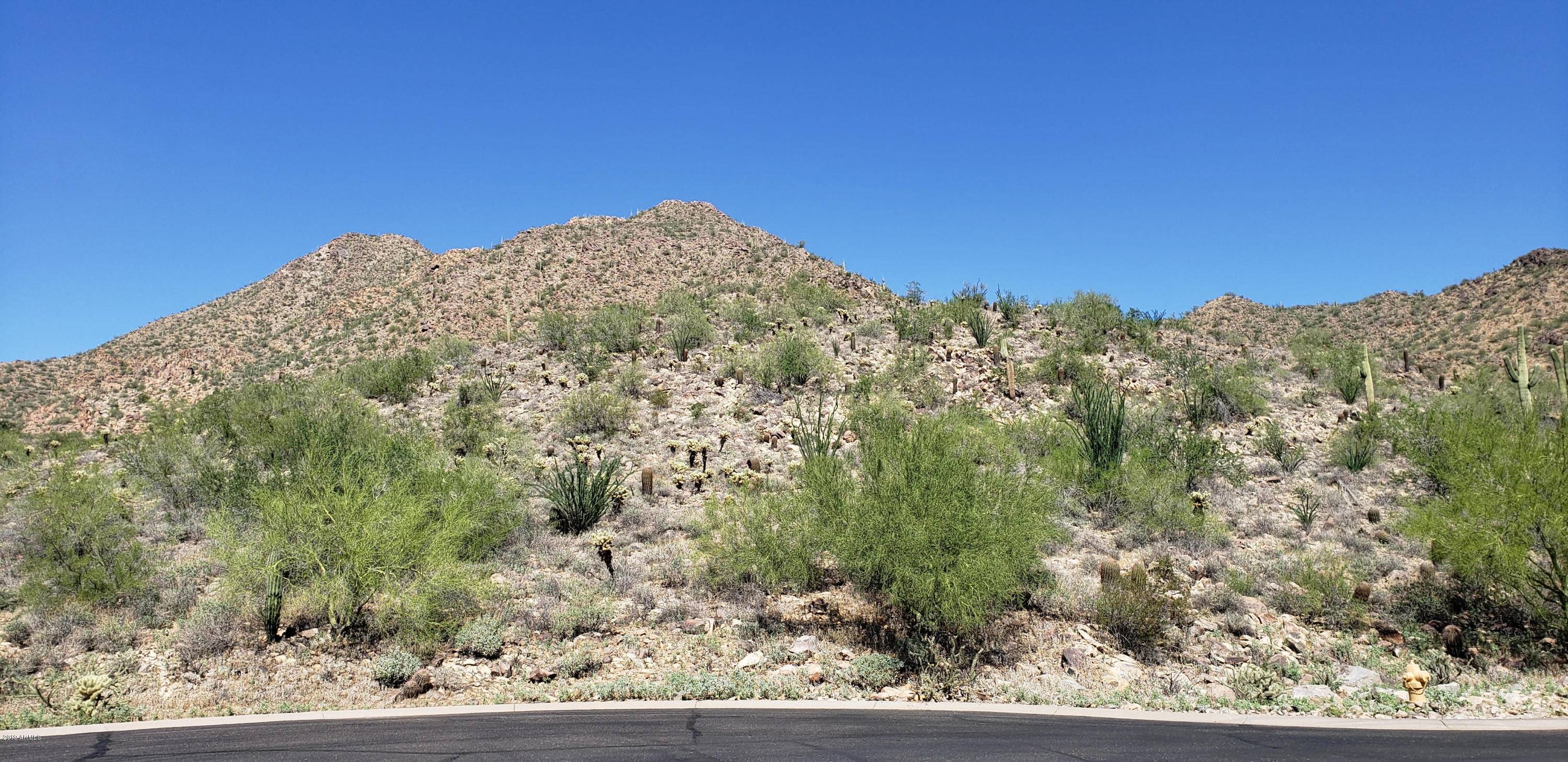 Scottsdale, AZ 85259,13735 E Columbine Drive