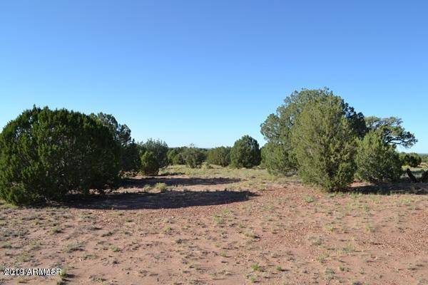 Concho, AZ 85924,Parcel 034 -- #467