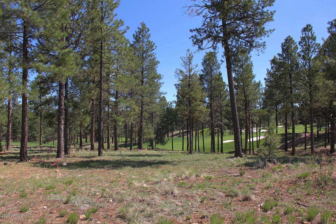 Flagstaff, AZ 86005,3883 S Clubhouse Circle #321