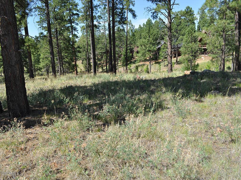 Flagstaff, AZ 86005,2493 S Pinyon Jay Drive