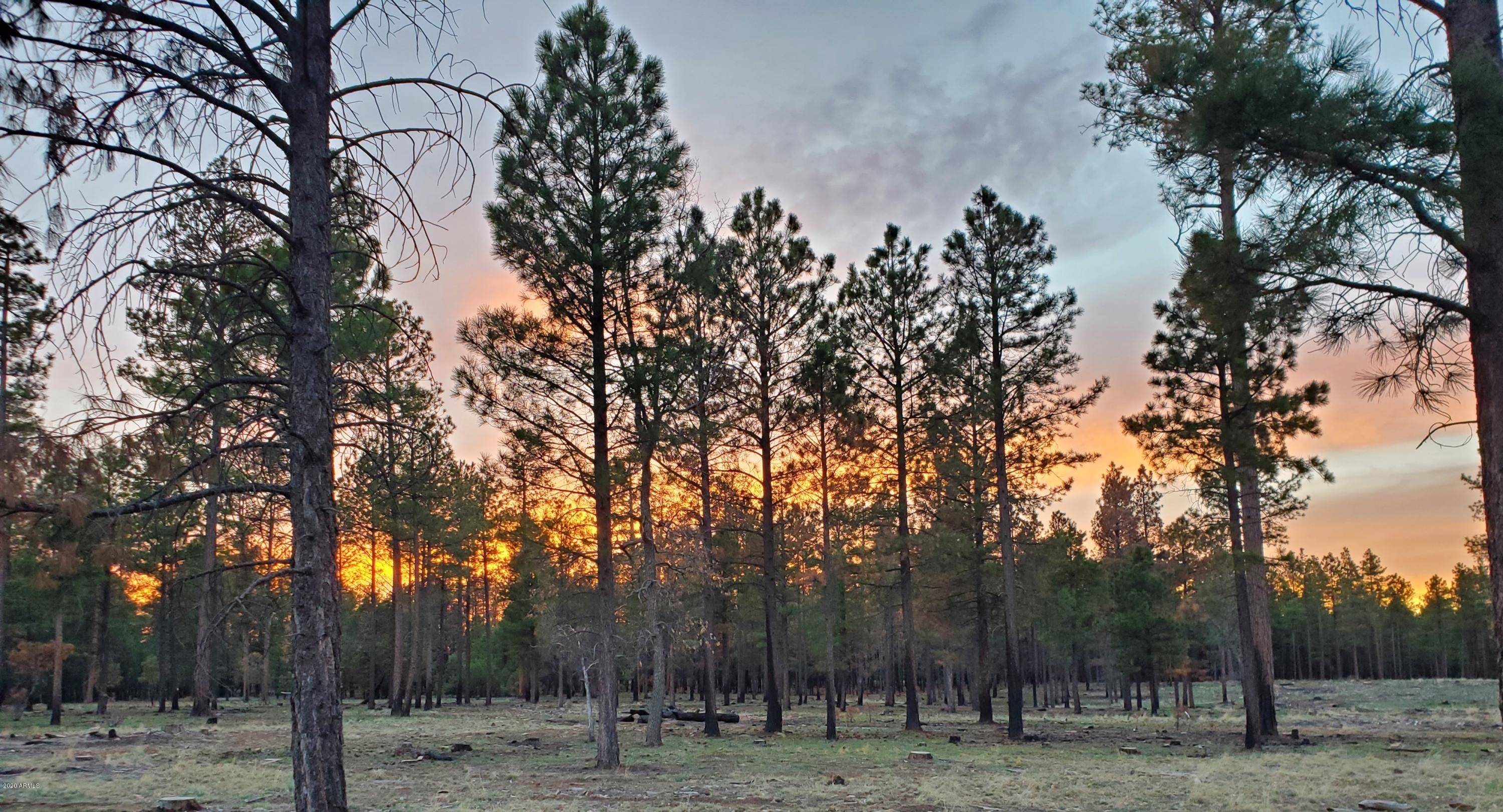 Happy Jack, AZ 86024,Forest Road 122 Tract 9A -- #9-A