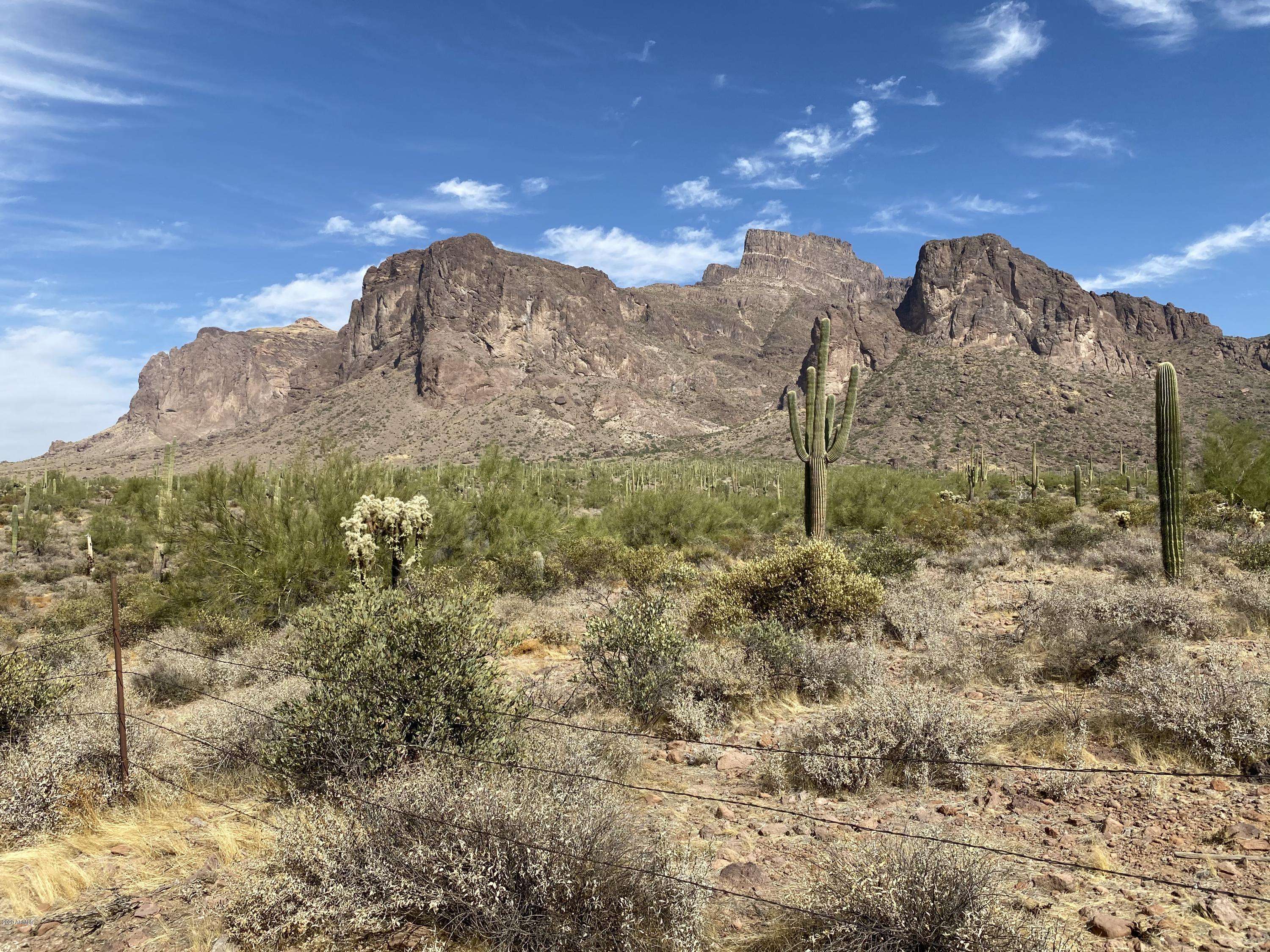 Apache Junction, AZ 85119,0 Holmes Road #0