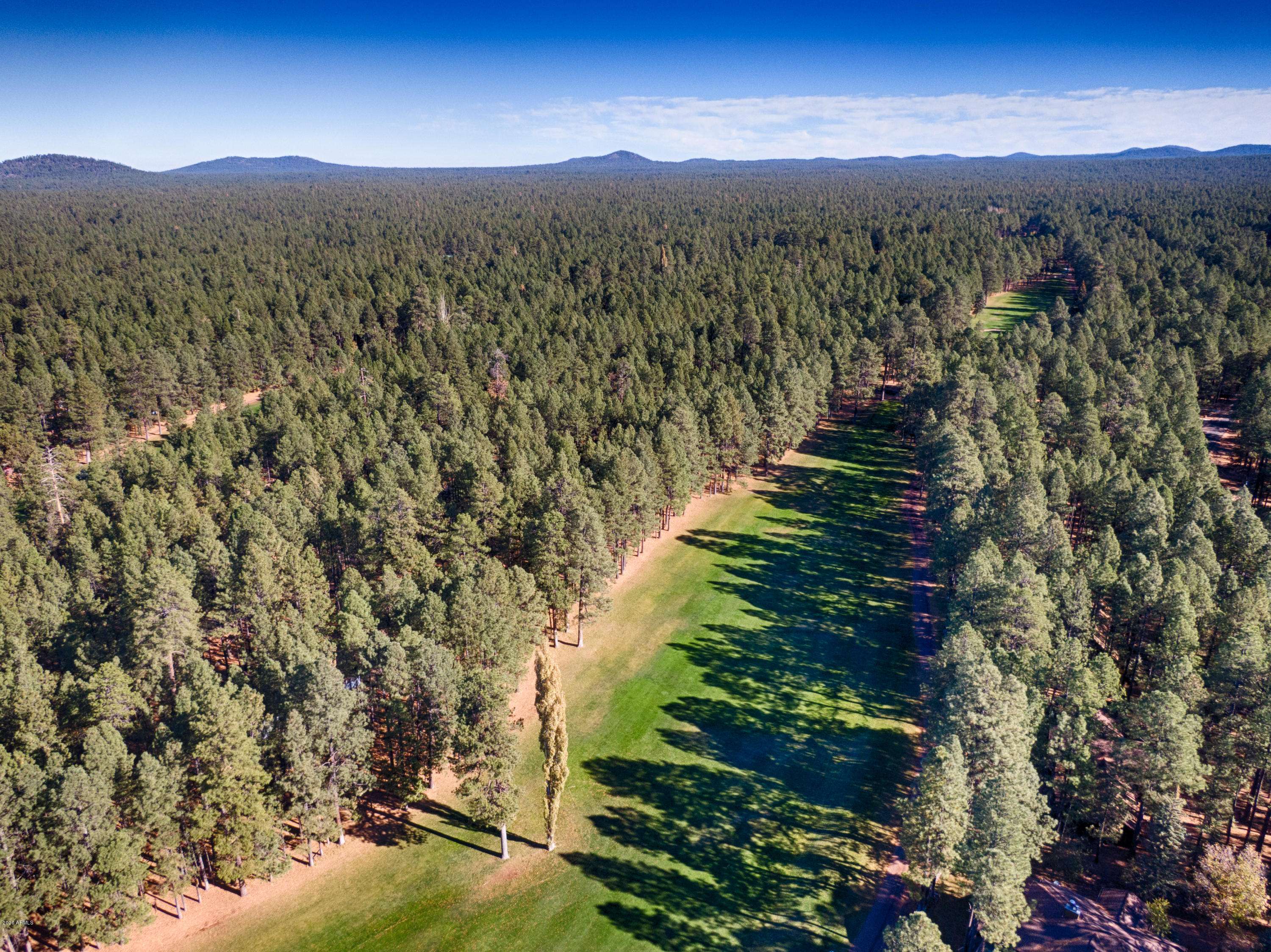 Pinetop, AZ 85935,7351 GERONIMO Road