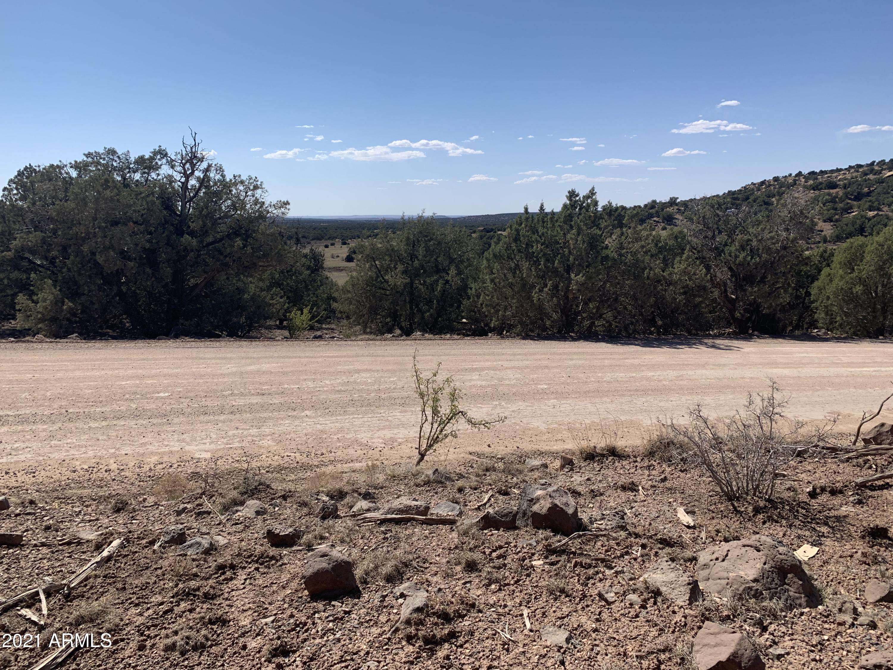 Concho, AZ 85924,PInes Unit 8 Lot 314 -- #-