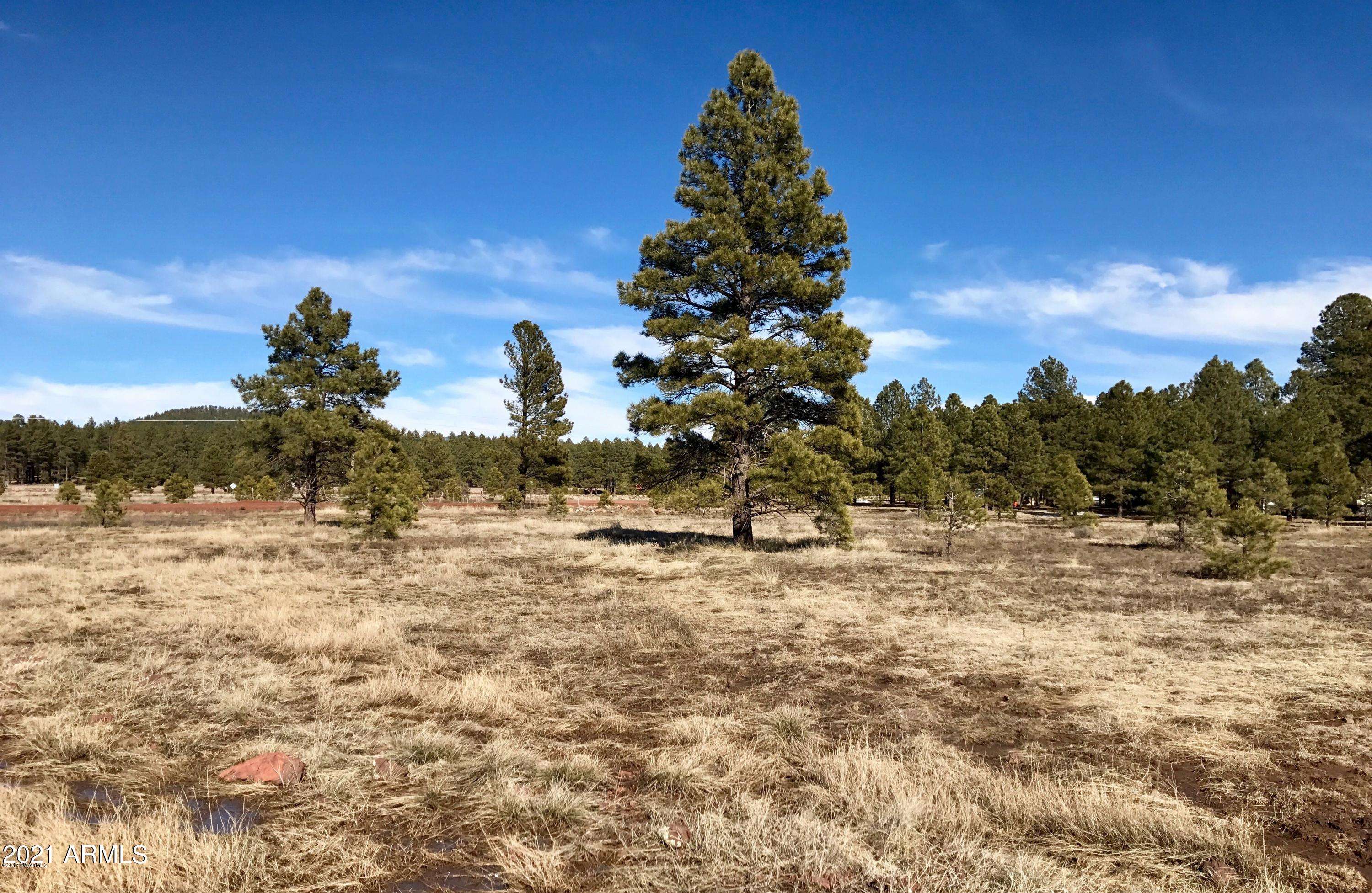 Williams, AZ 86046,3456 E PINETREE Drive #6