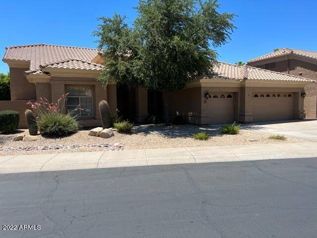 Scottsdale, AZ 85254,5559 E SHEENA Drive