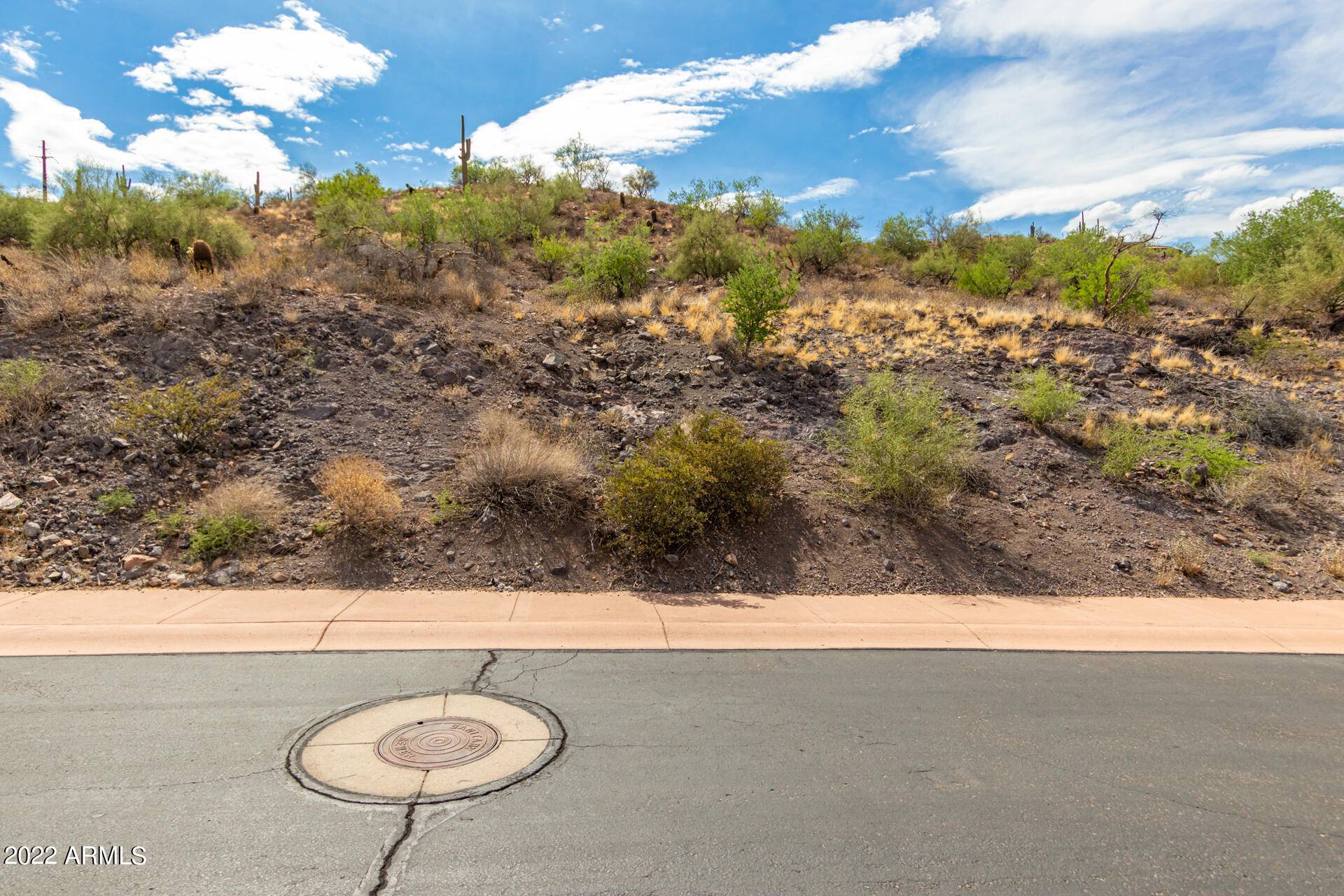 Fountain Hills, AZ 85268,9130 N LAVA BLUFF Trail #14