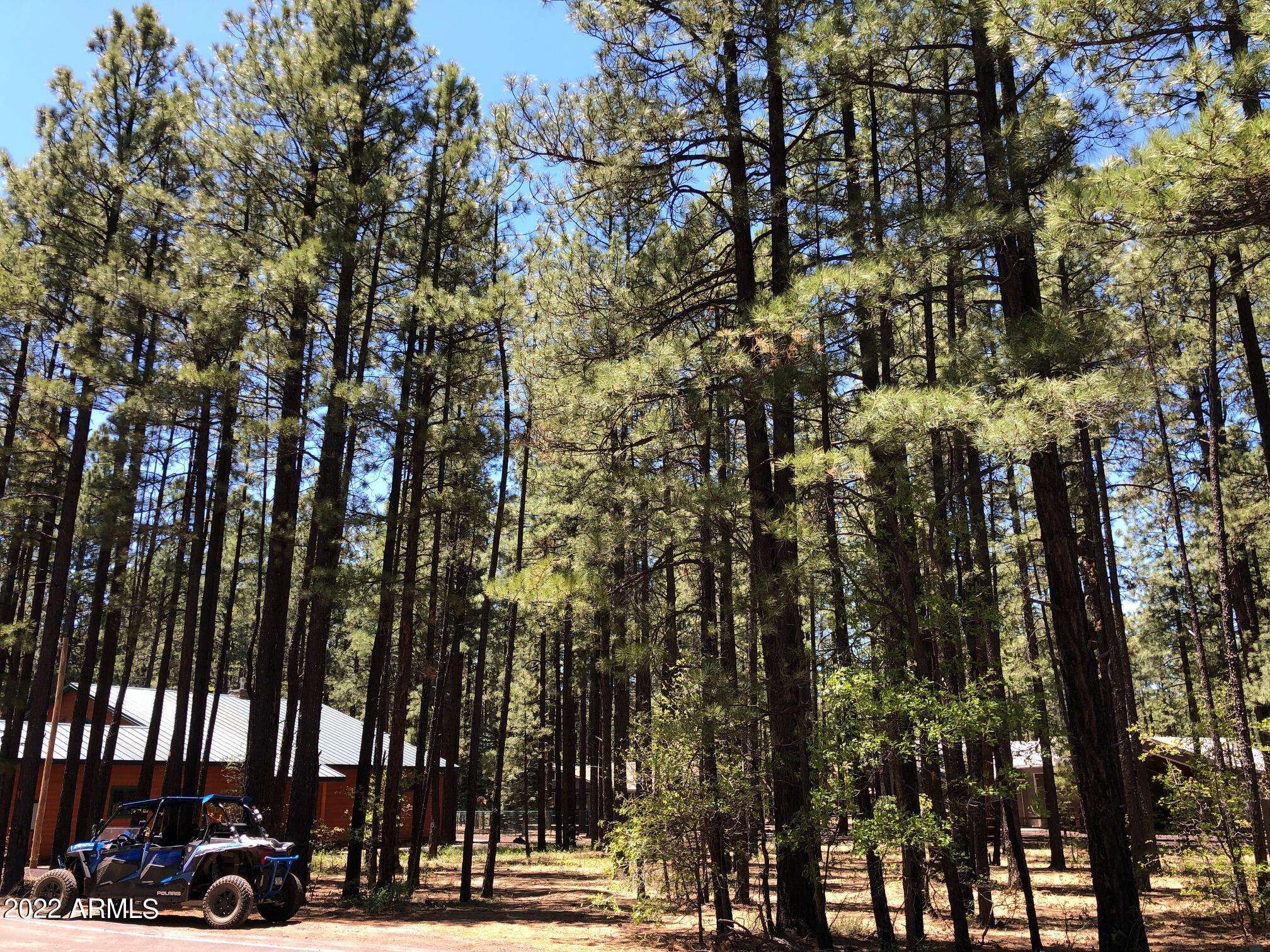 Pinetop, AZ 85935,8798 COUNTRY CLUB Drive #17