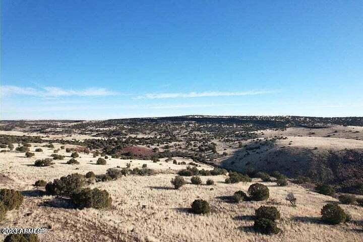 Concho, AZ 85924,Ranches Lot 22  36.87 Acres -- #22