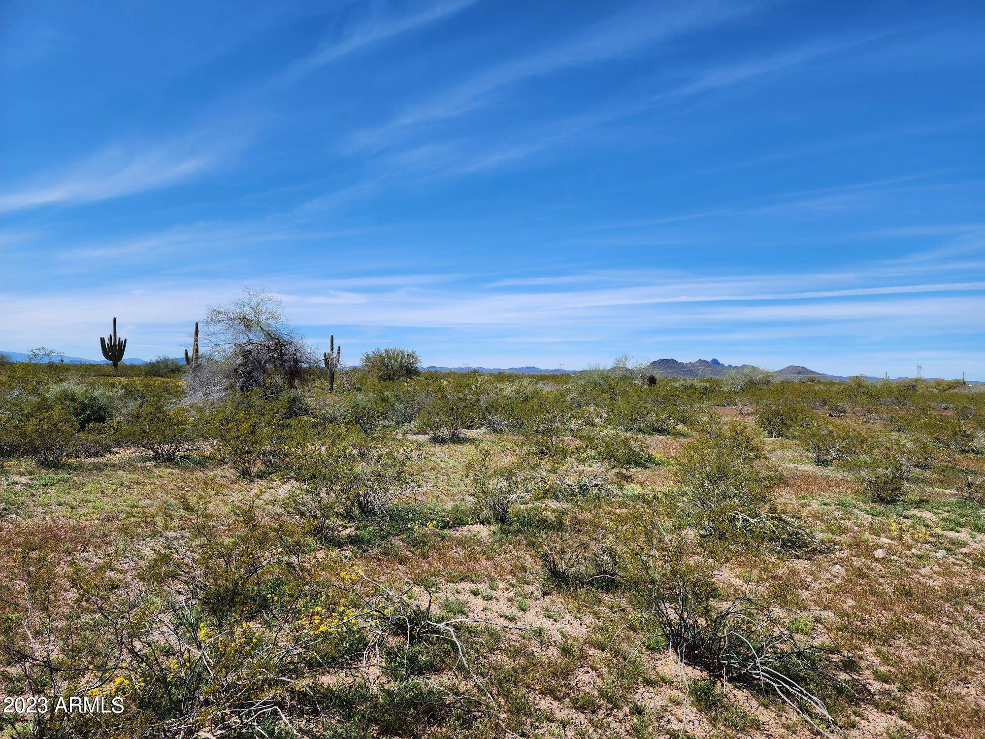 Wittmann, AZ 85361,0 W Forest Pleasant Place #230