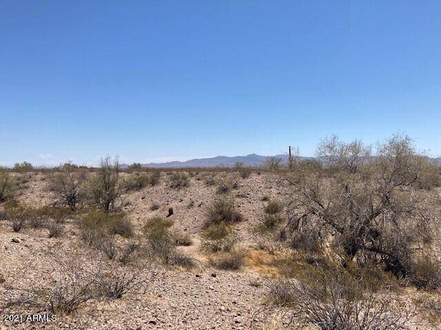 Tonopah, AZ 85354,1 Earll Drive #12