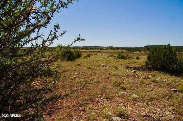 Seligman, AZ 86337,Antelope Valley #A  20  Acres -- #A