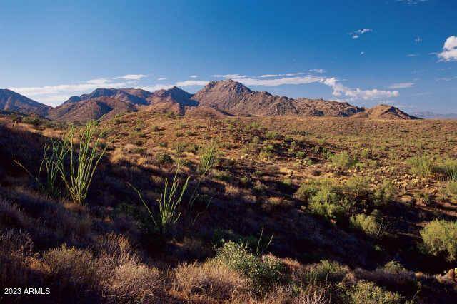 Fountain Hills, AZ 85268,14433 E DESERT TORTOISE Trail #24