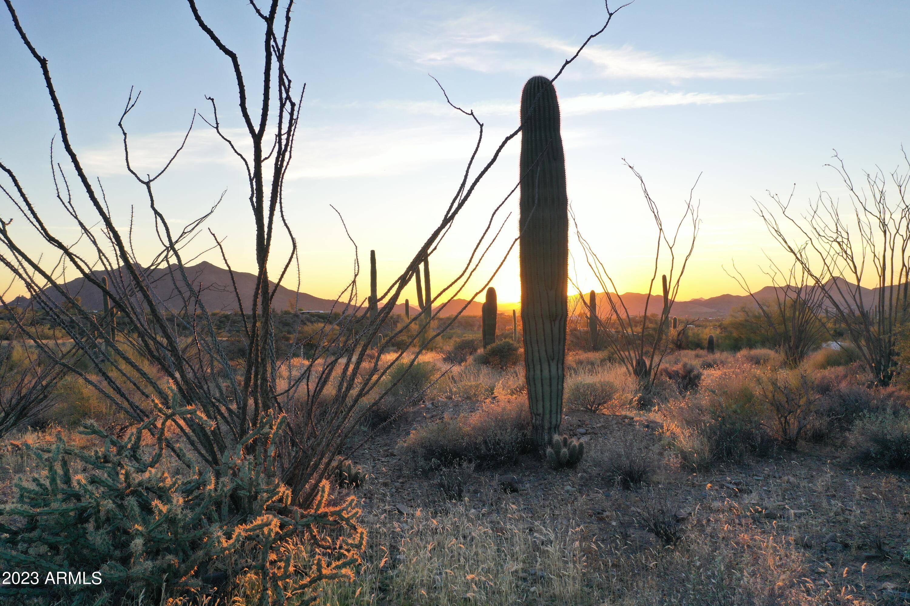 Cave Creek, AZ 85331,7900 E HIGHLAND Road #-