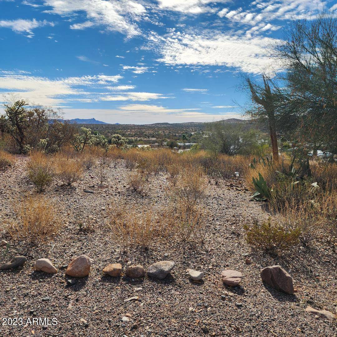 Queen Valley, AZ 85118,57 W SAHUARO Drive #75