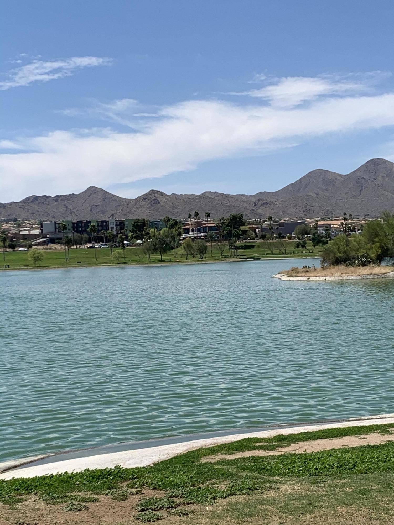 Fountain Hills, AZ 85268,16807 E GUNSIGHT Drive #B11