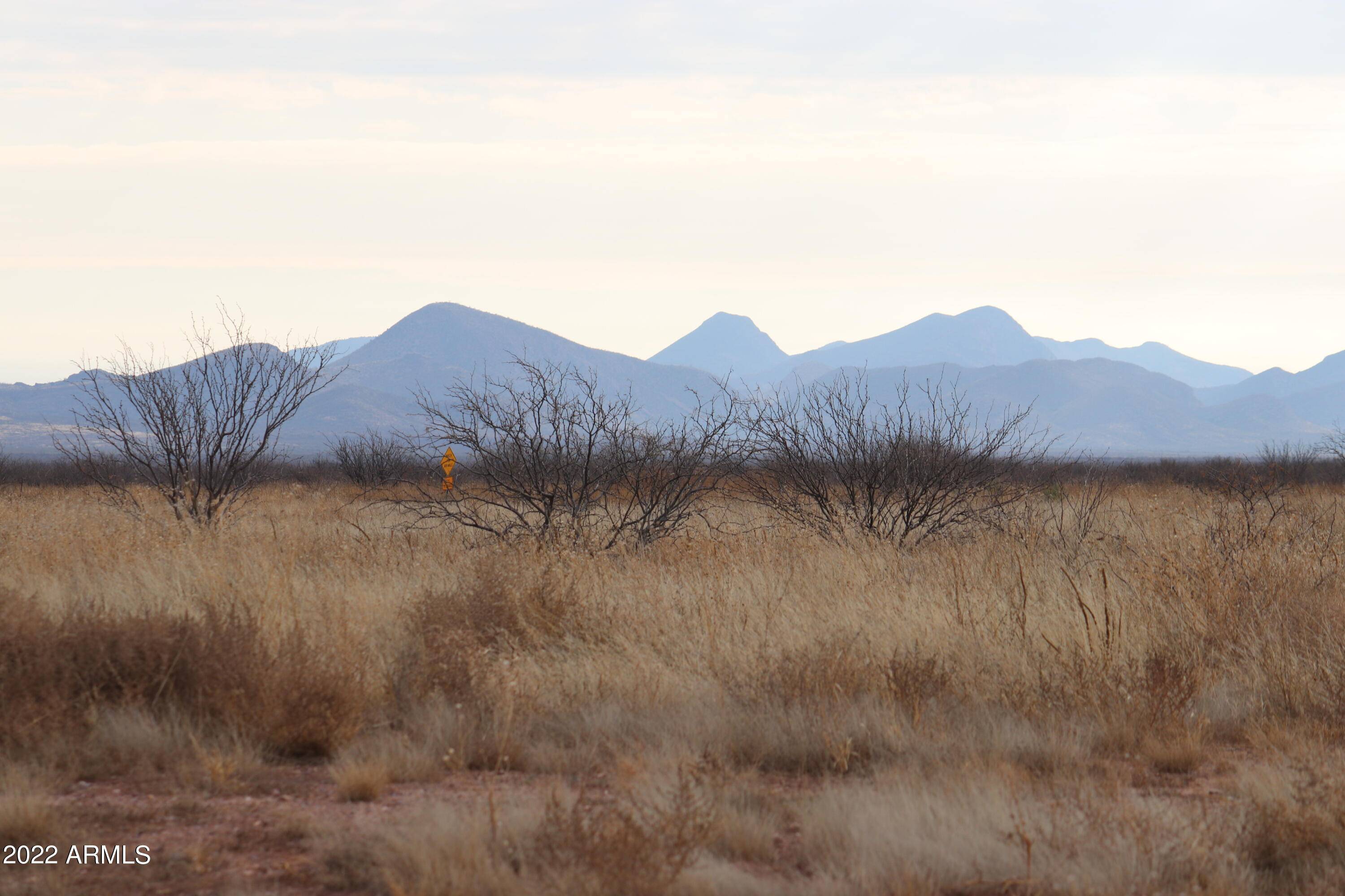 Elfrida, AZ 85610,4445 N Double u ranch -- #44