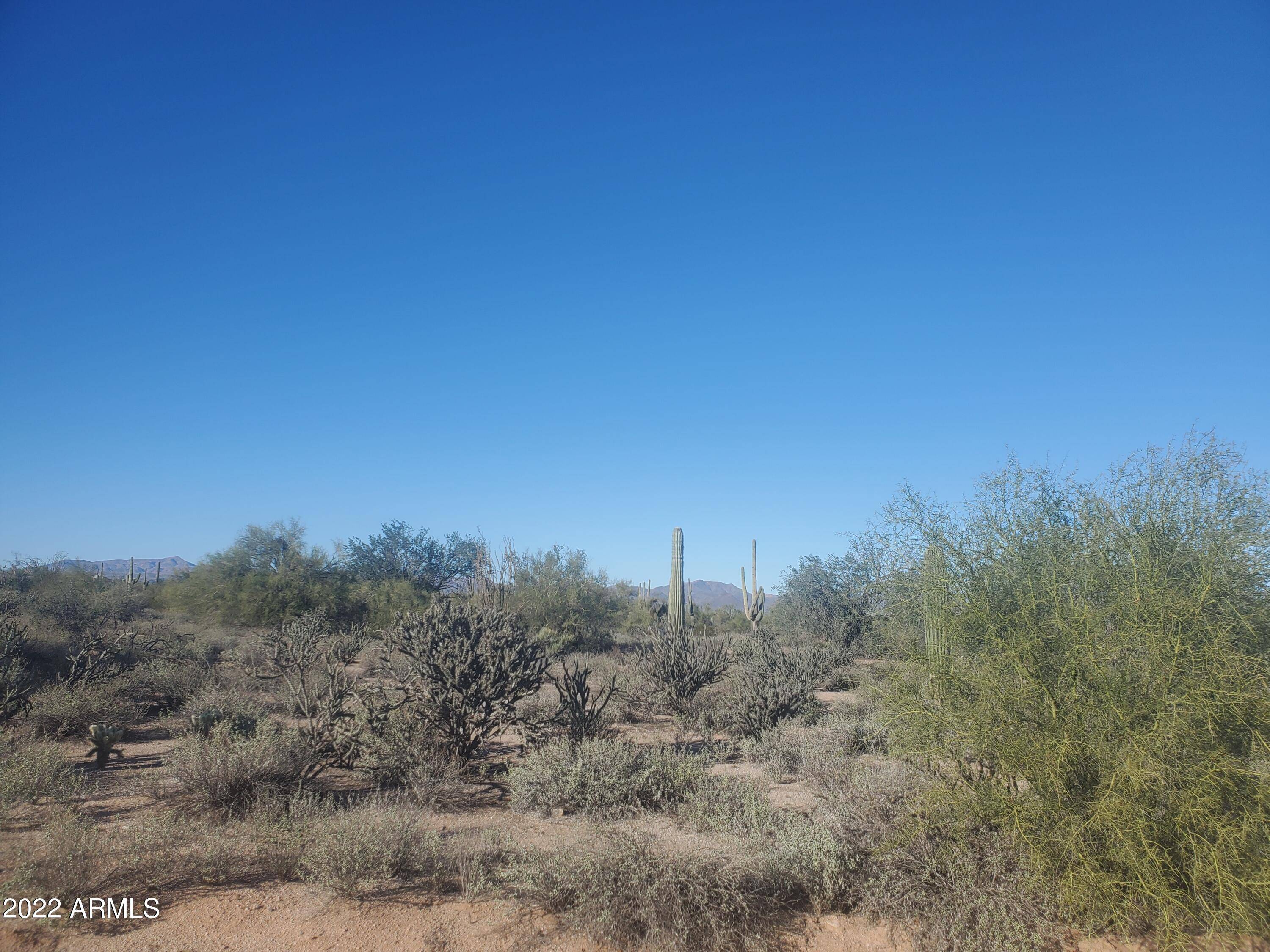 Rio Verde, AZ 85263,170 E Cavedale Drive #-