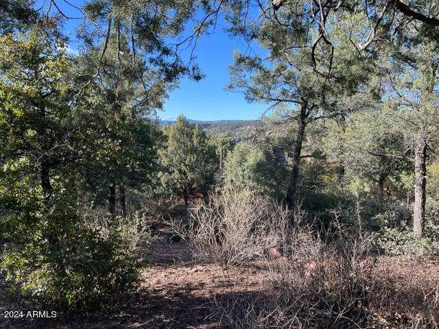 Payson, AZ 85541,818 W RIM VIEW Road #-