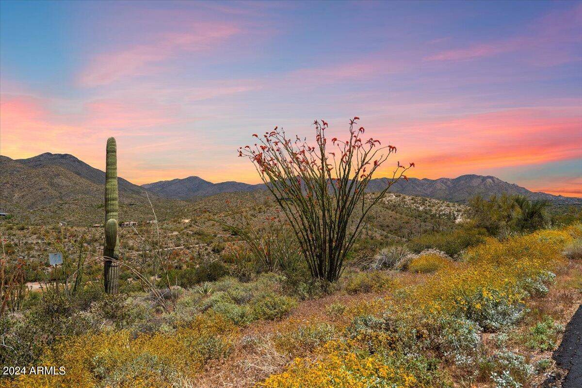 Scottsdale, AZ 85262,8910 E STANLEY THOMPSON Lane #54