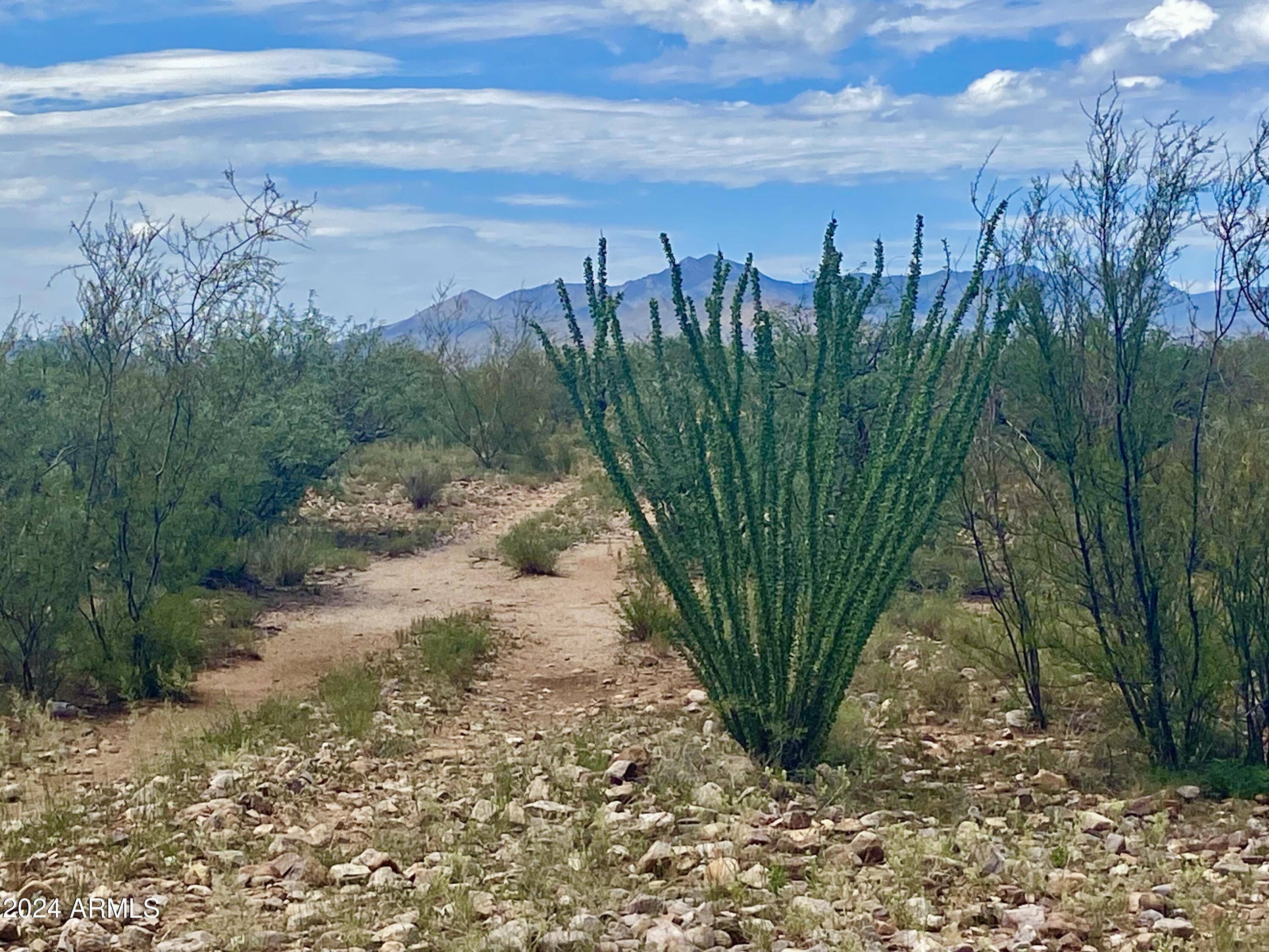 Huachuca City, AZ 85616,Lonely Dove Pl 8.23 Acres -- #-