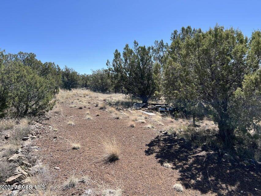 Ash Fork, AZ 86320,0 Golden Summit -- #253E