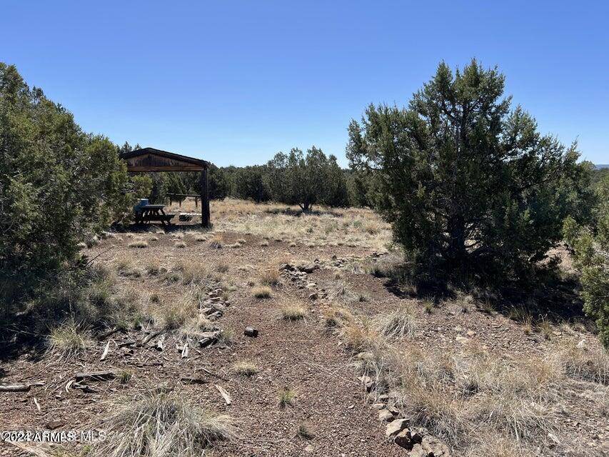 Ash Fork, AZ 86320,0 Golden Summit -- #253E