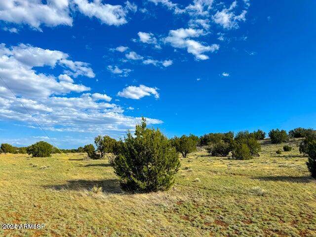 Concho, AZ 85924,8643 12 Acres -- #-