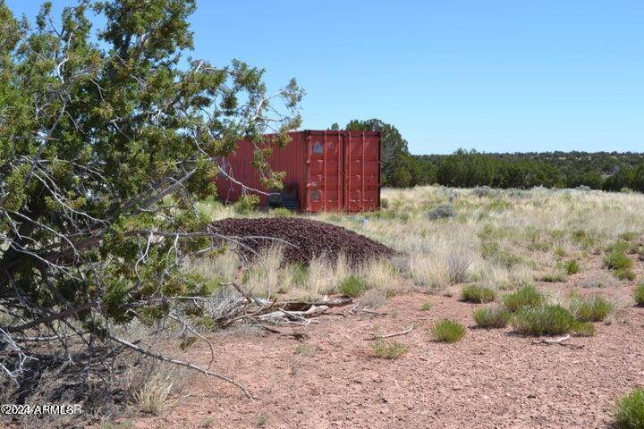 Concho, AZ 85924,81 N COUNTY ROAD N8572 -- #388