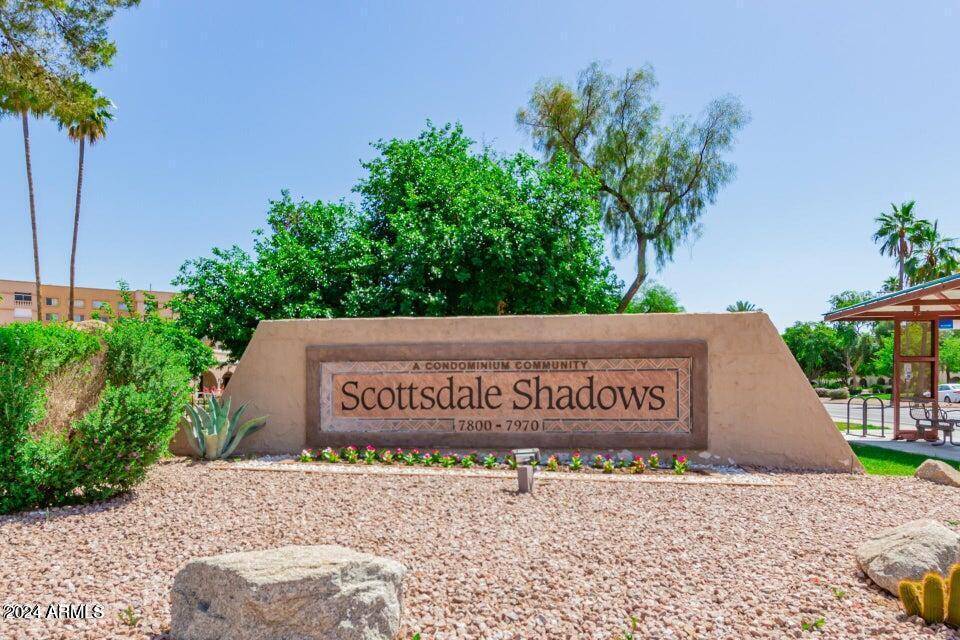 Scottsdale, AZ 85251,7950 E CAMELBACK Road #310