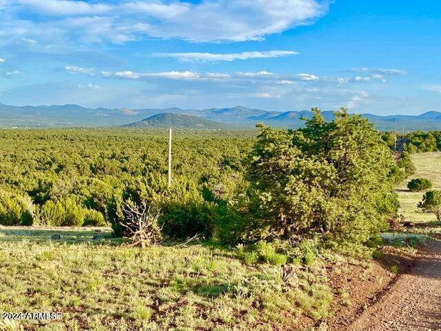 Vernon, AZ 85940,0 N3208 Lot B 9.18 Acres -- #B