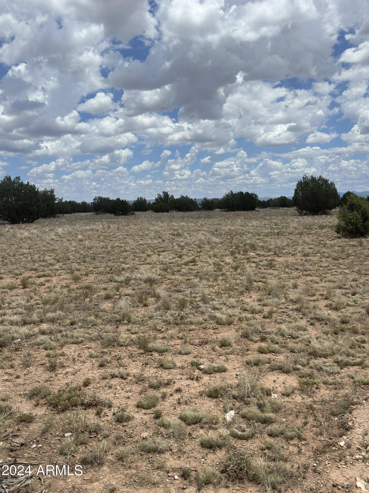 Ash Fork, AZ 86320,118 Prairie Dog Road #118D