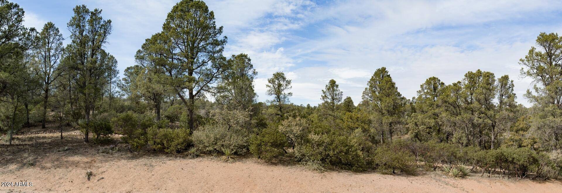 Payson, AZ 85541,506 S RIM CLUB Drive #7