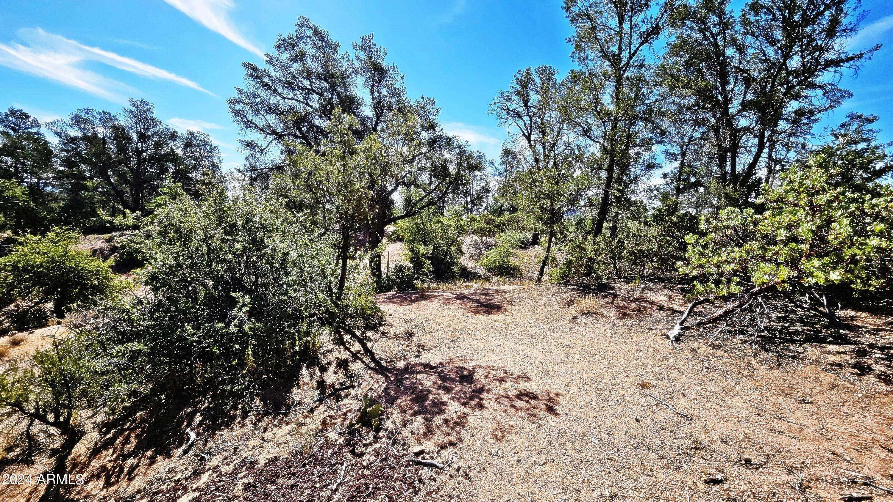 Payson, AZ 85541,2309 E YERBA SERITA -- #90