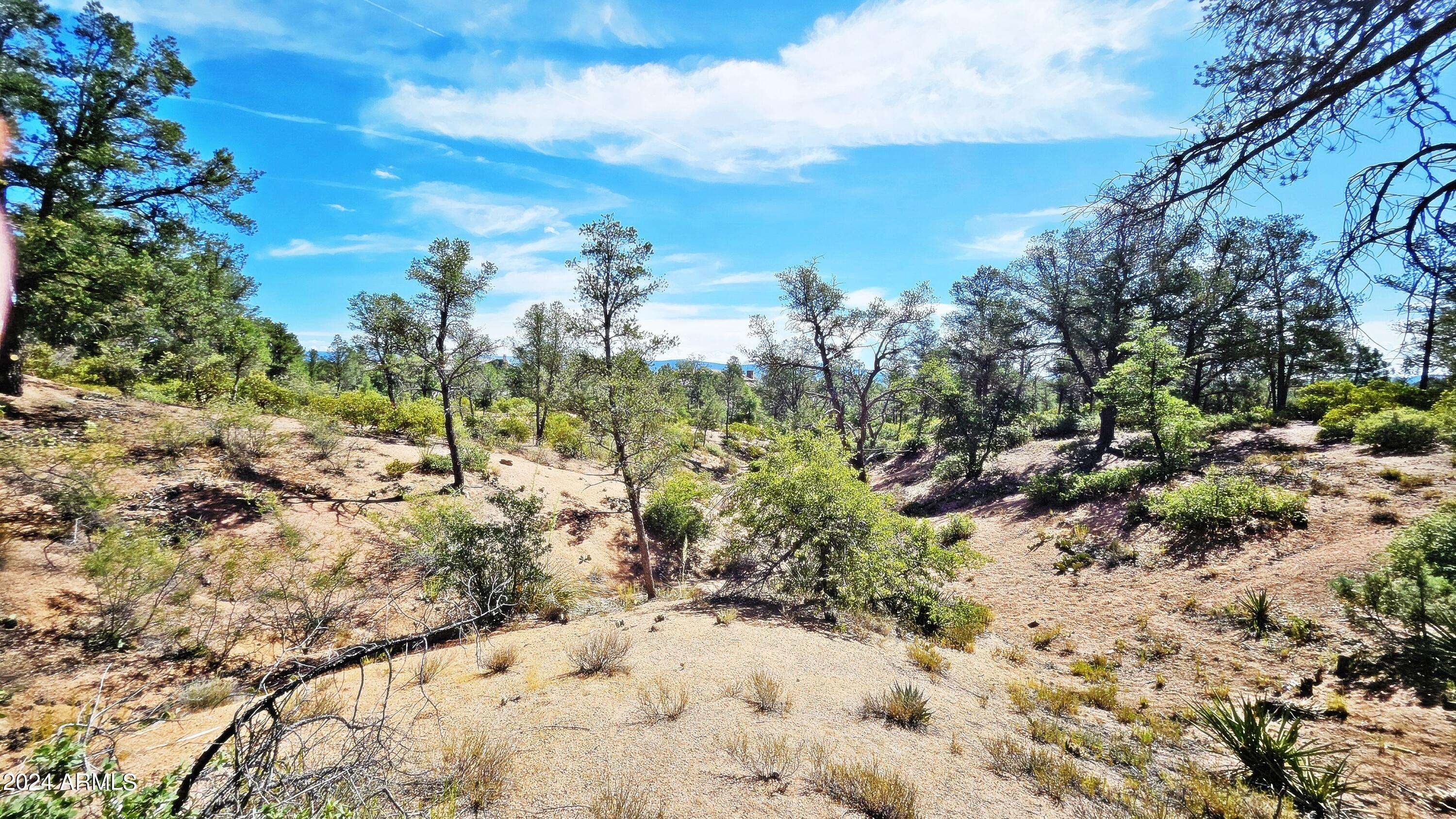 Payson, AZ 85541,2309 E YERBA SERITA -- #90