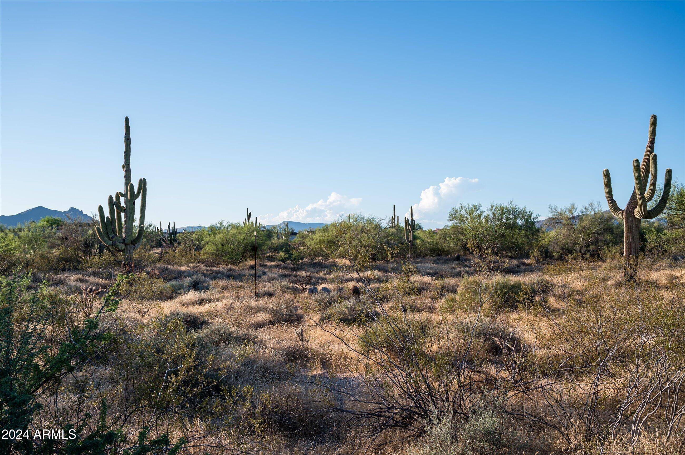 Scottsdale, AZ 85266,8512 E ARTISAN PASS -- #128
