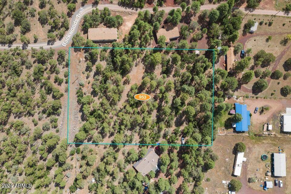 Lakeside, AZ 85929,953 Miramon Drive #199D