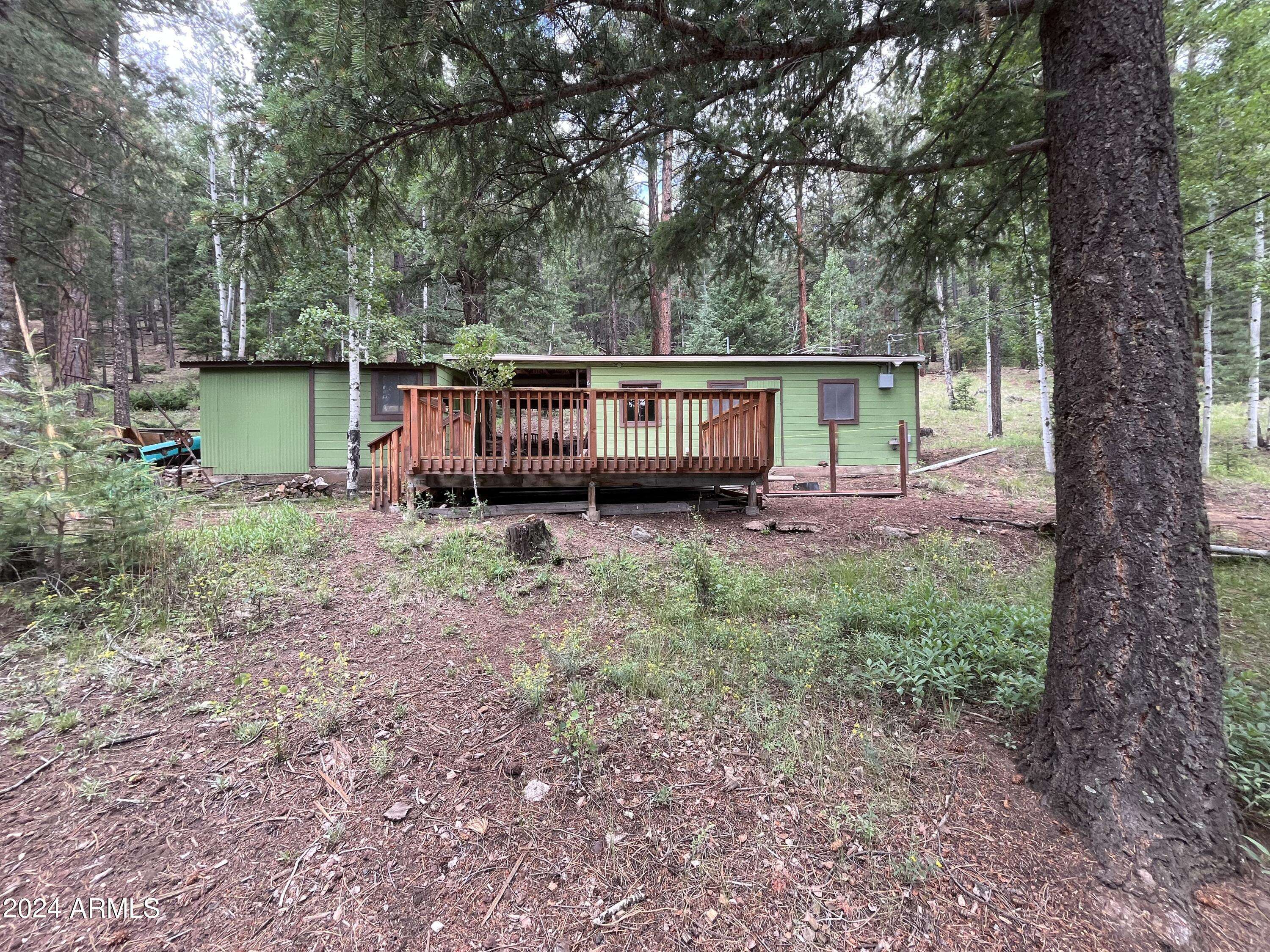 Greer, AZ 85927,6 COUNTY ROAD 1006 --