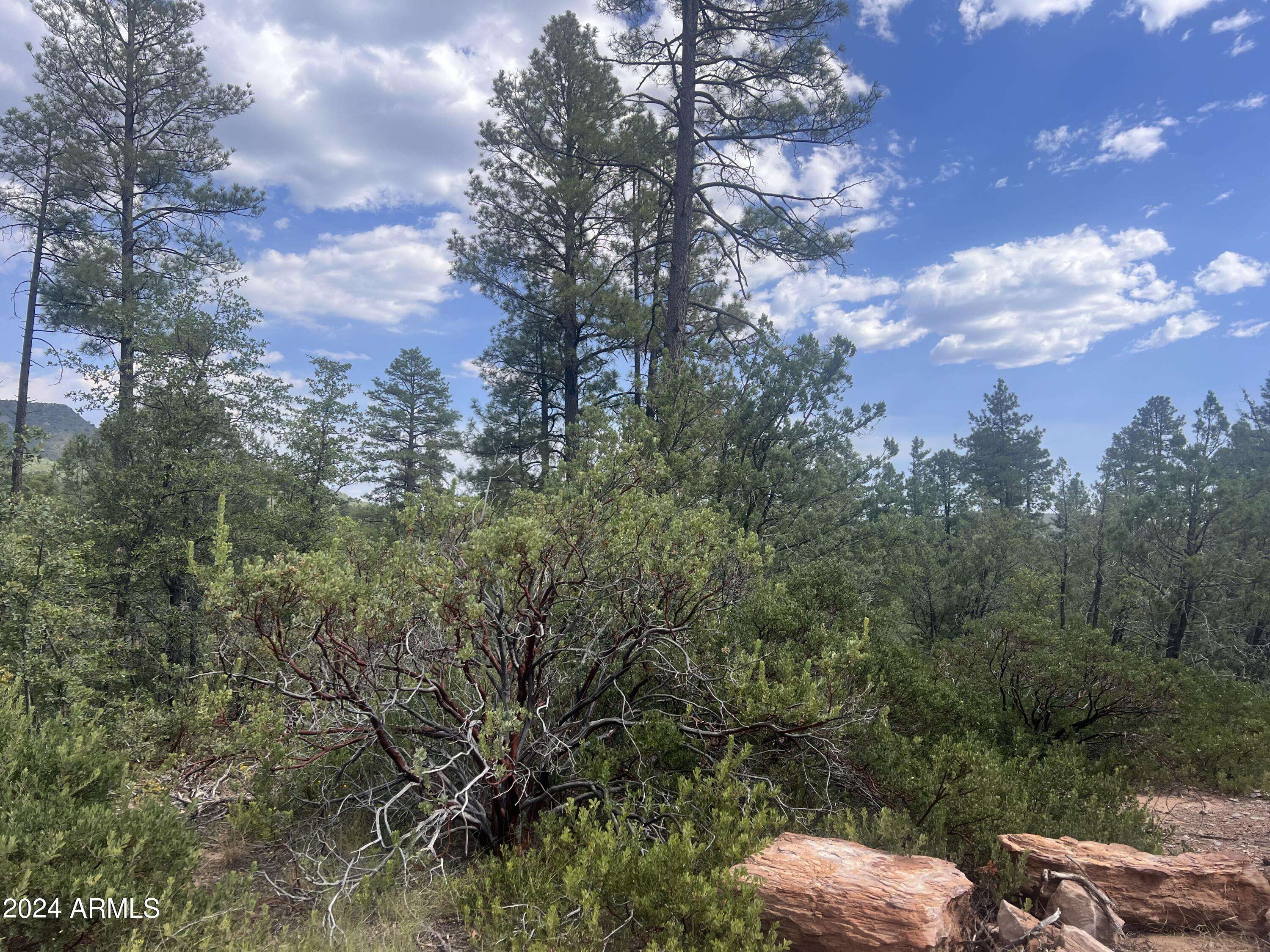 Pine, AZ 85544,0 N Mistletoe Lot Q -- #Q