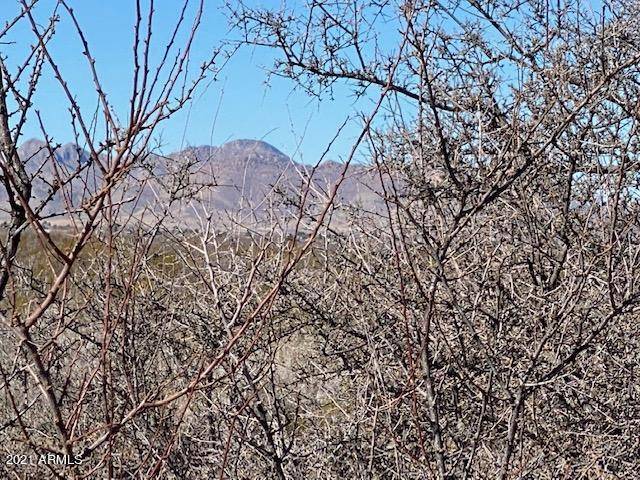 Huachuca City, AZ 85616,4 ac Lot 4  Shadow Lane Road #'-'