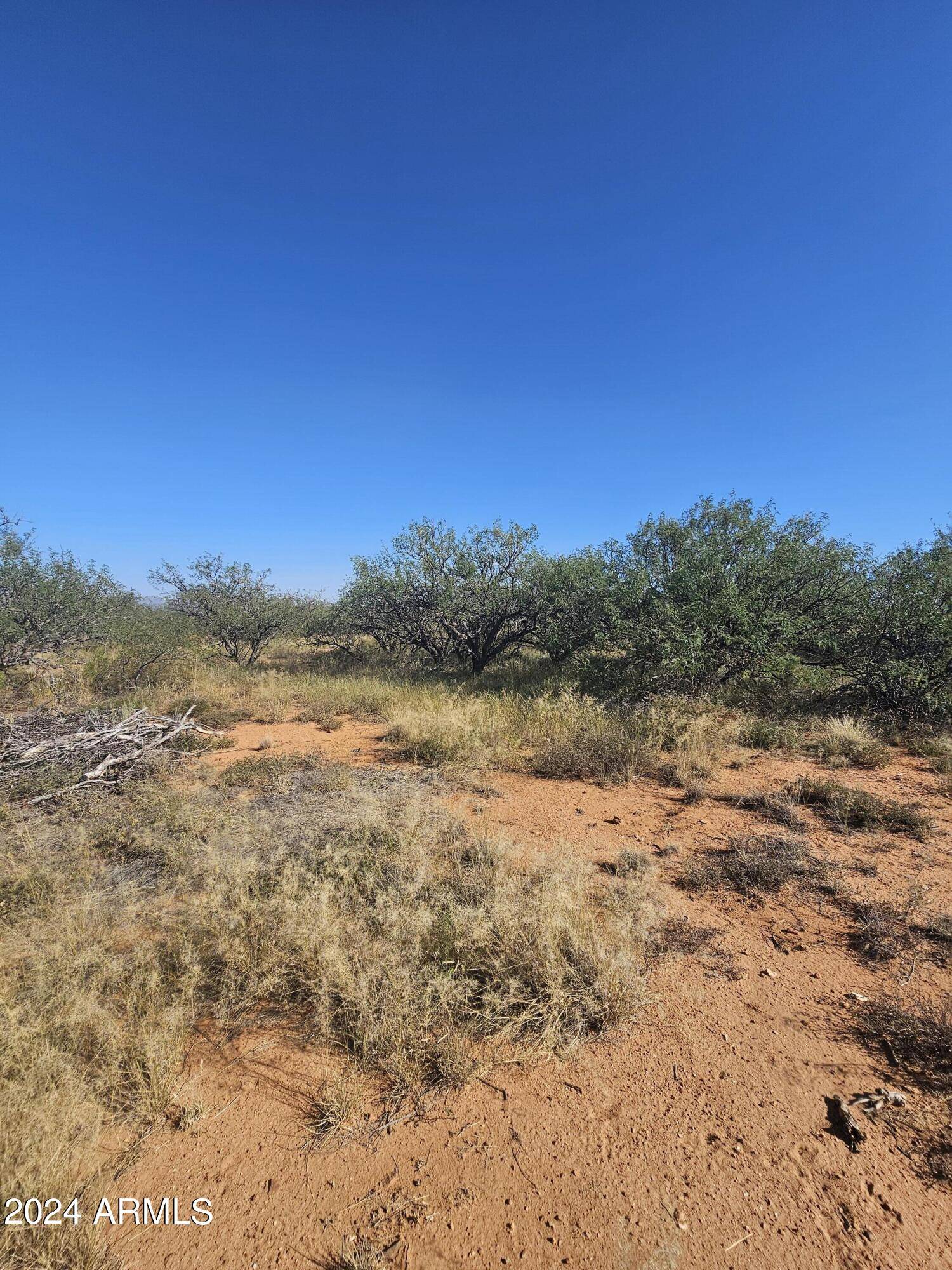 Hereford, AZ 85615,16 Ac's Sumac/Rio Bravo -- #G