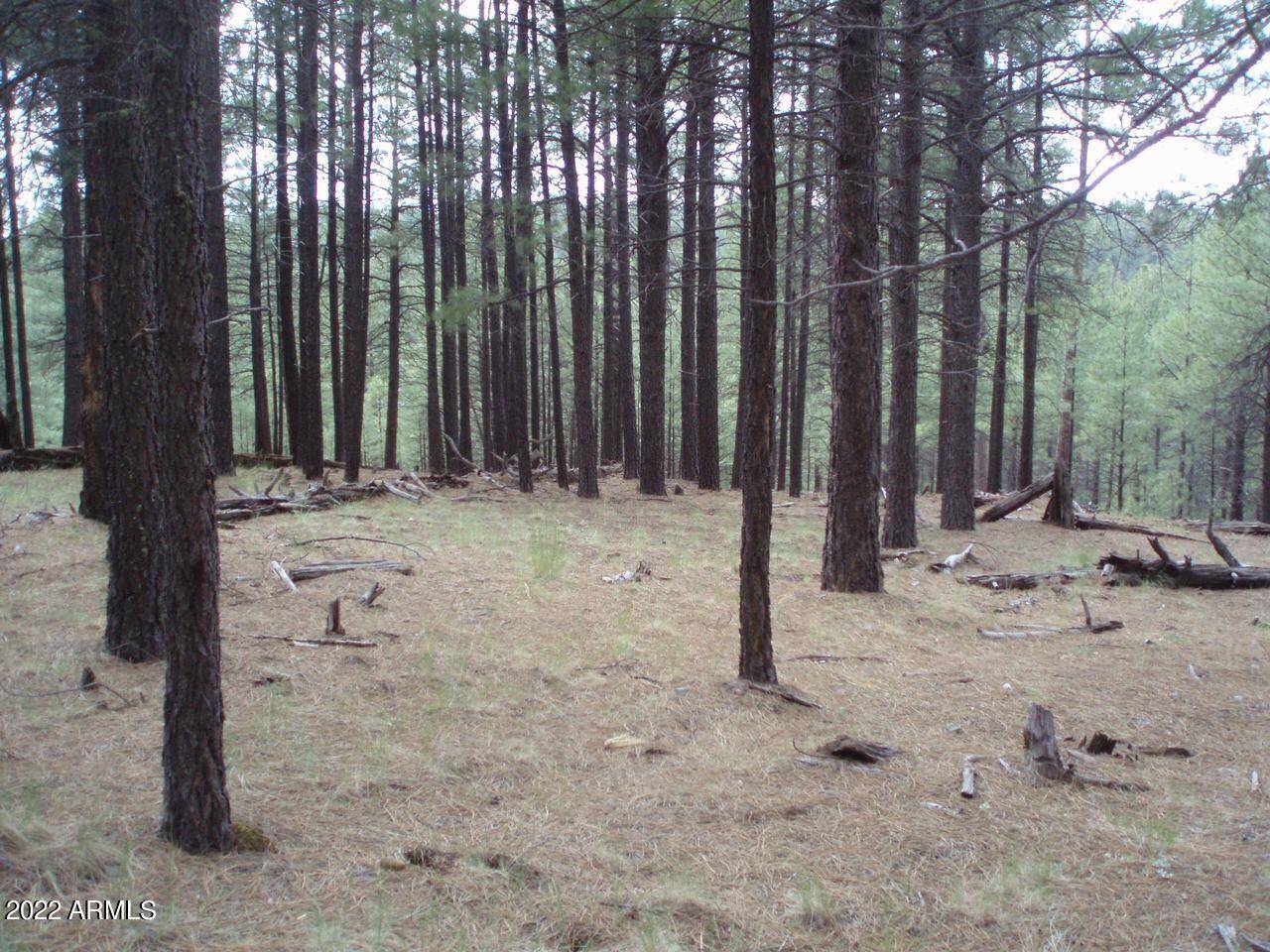 Happy Jack, AZ 86024,12 Coconino Forest Road 137A -- #-