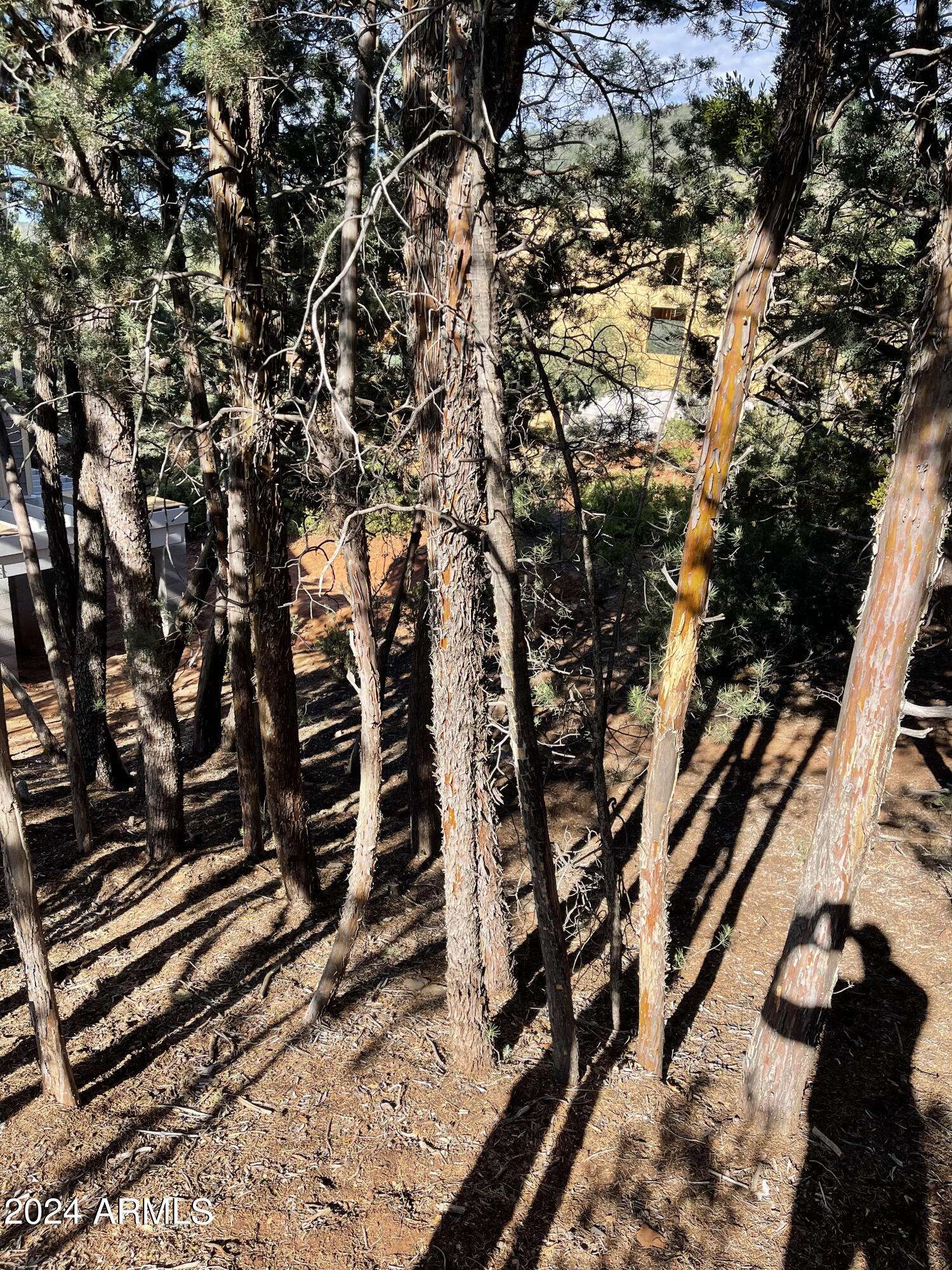 Pine, AZ 85544,9 LODGEPOLE Circle #9
